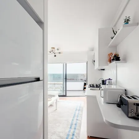 Chic Flat W Terrace Jacuzzi 15 Min To Blue Mosque Apartment Istanbul